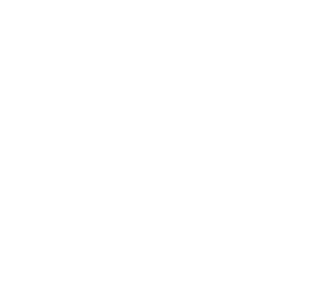 certificación como Marca Guanajuato